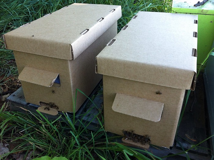 Wax coated nuc boxes