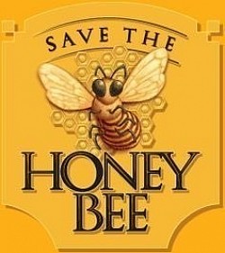 Apis mellifera mellifera black amm queens native,bees ireland, black bee man holywellhoney.com