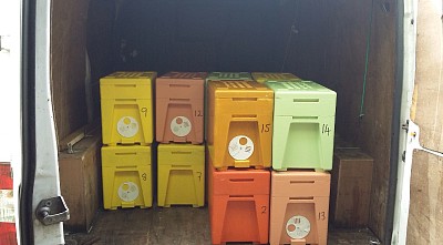 Summer Nucs ready for delivery of black native amm bees