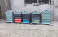 New hives out of our carpentry shop ,our black bees  will produce  wonderful  honey in these.